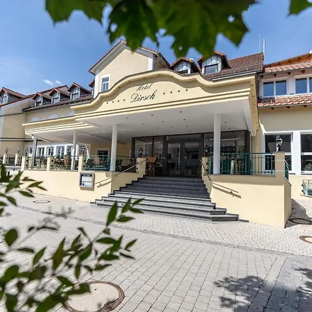 Hotel Dirsch Wellness & Spa Resort-3
